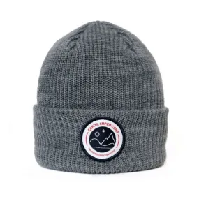 Capita Mothership Beanie Heather Grey