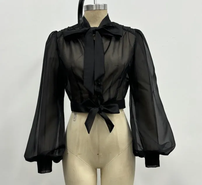 Gibson Girl Sheer Blouse