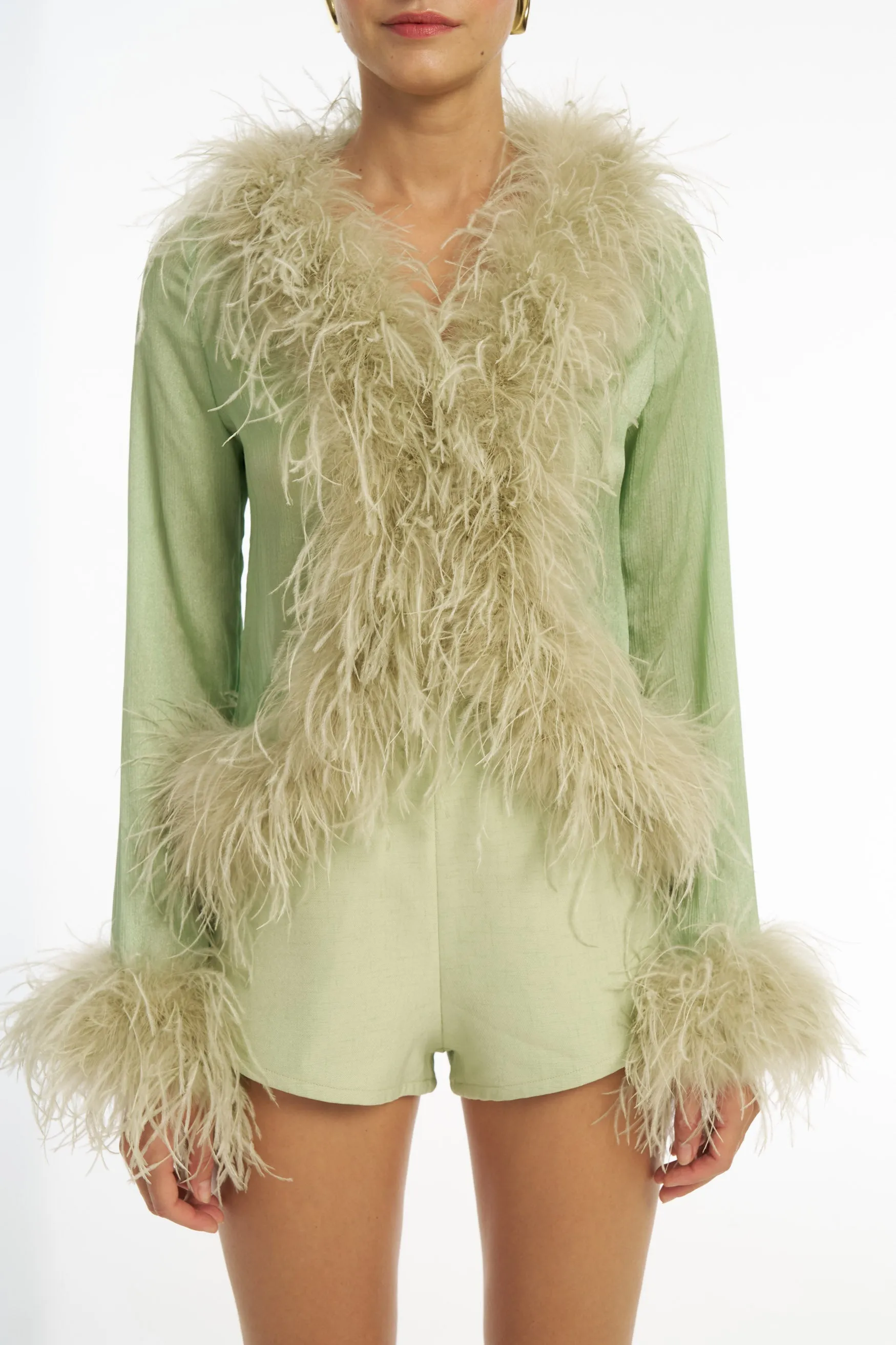 Gigi Sheer Feather Blouse - Pistachio