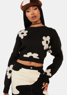 Groovin' On Crop Sweater