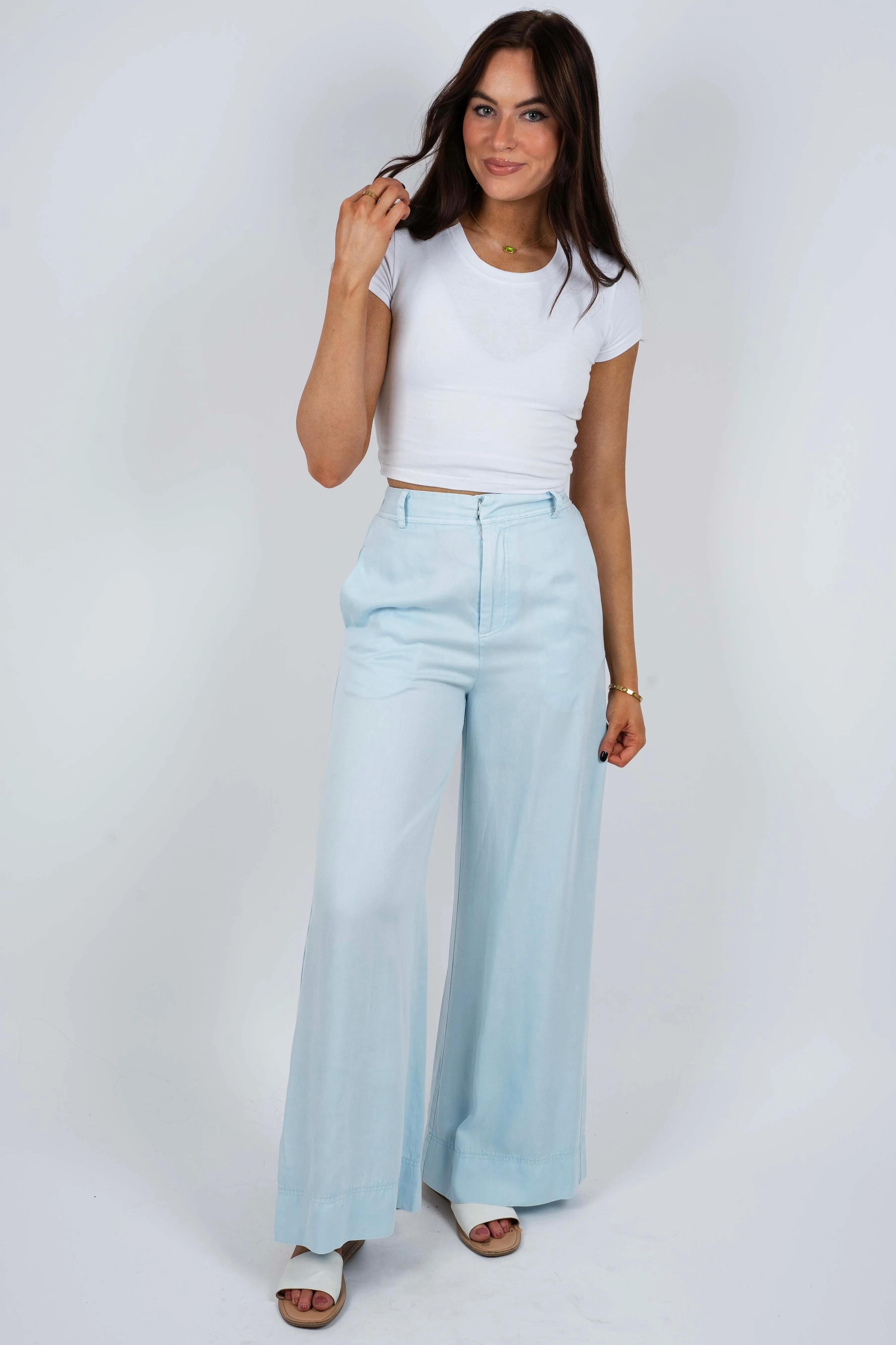 High Stakes Wide Leg Pants (Powder Blue)