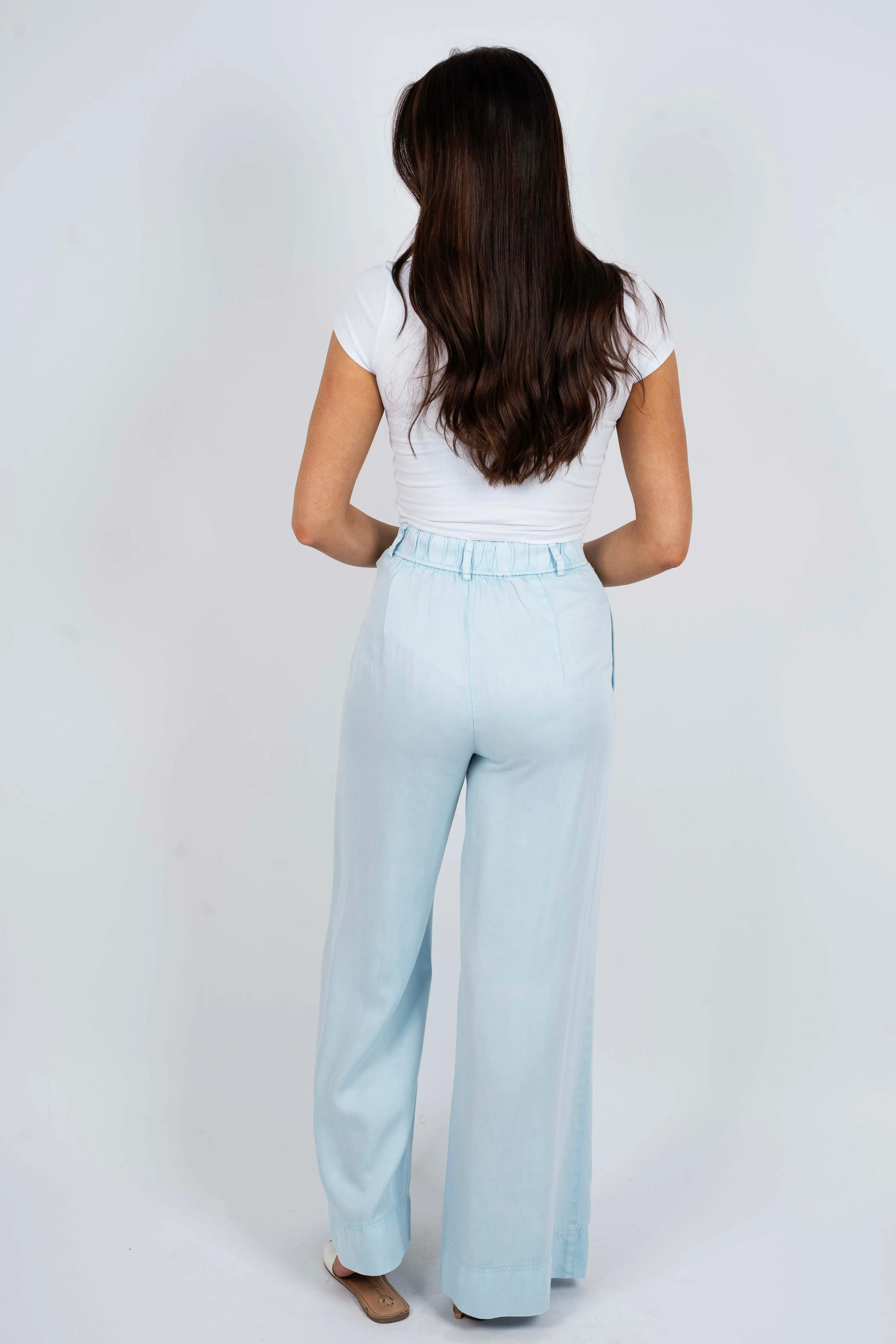 High Stakes Wide Leg Pants (Powder Blue)