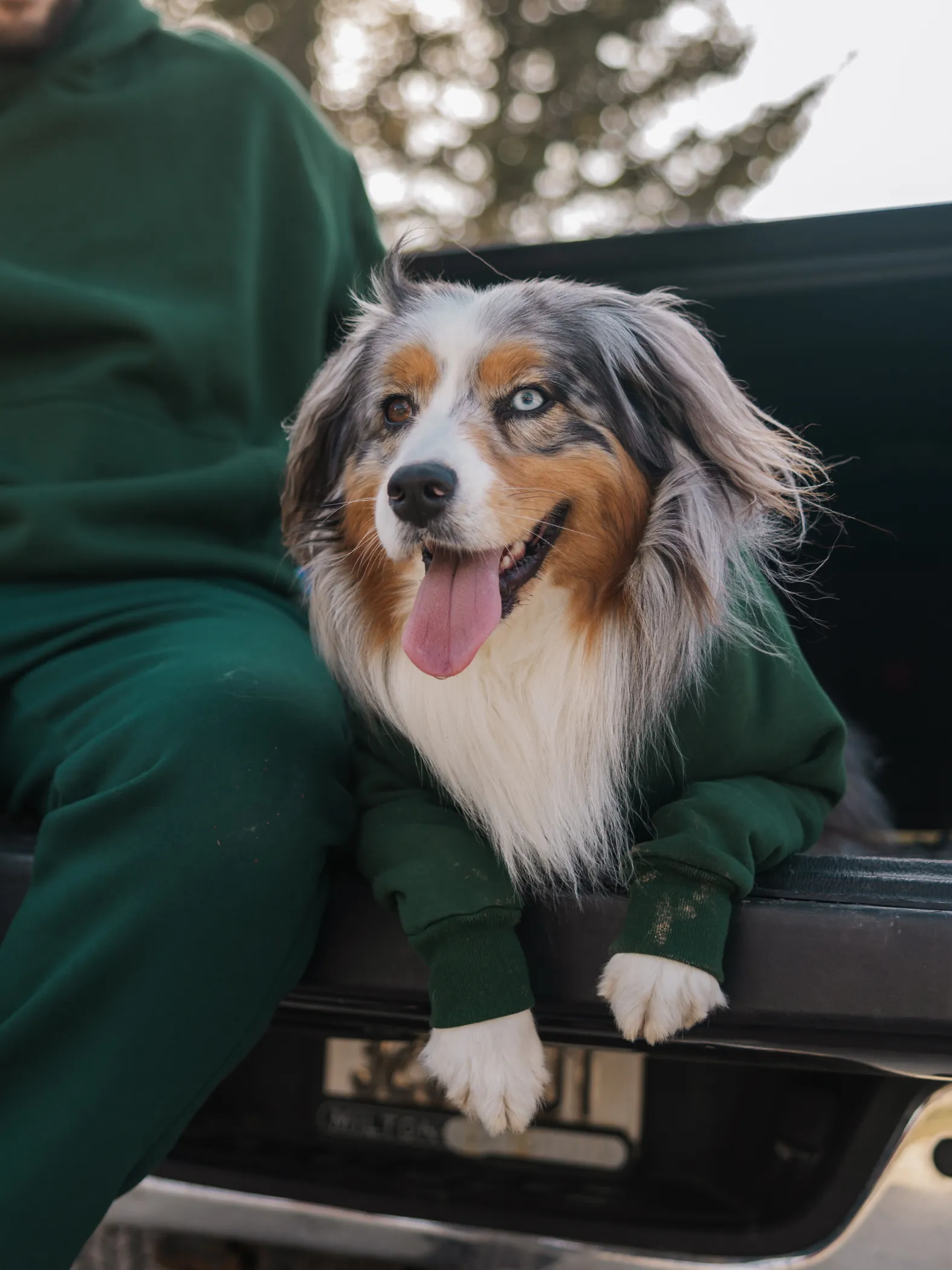 Walkies Hoodie